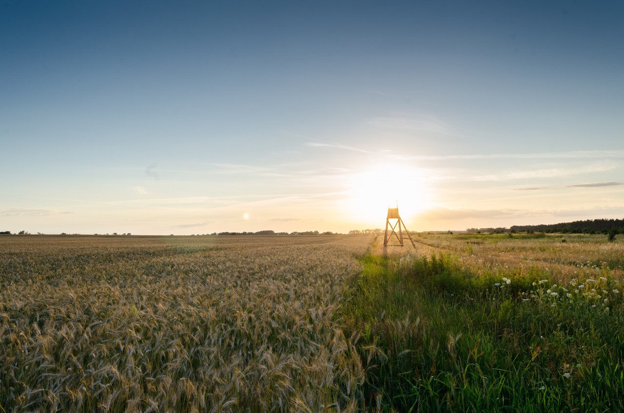 USDA to the farming rescue