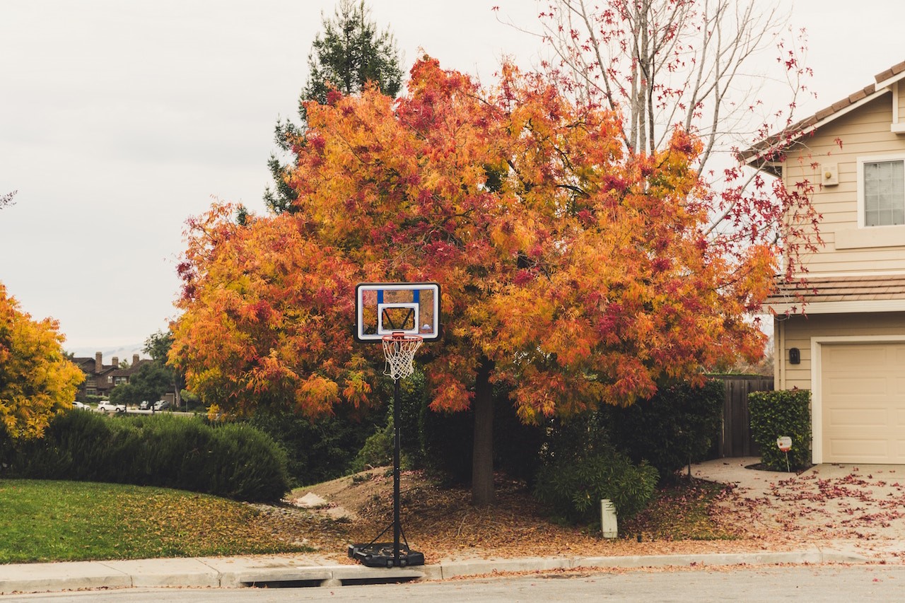 6 tips to spice up your curb appeal this fall