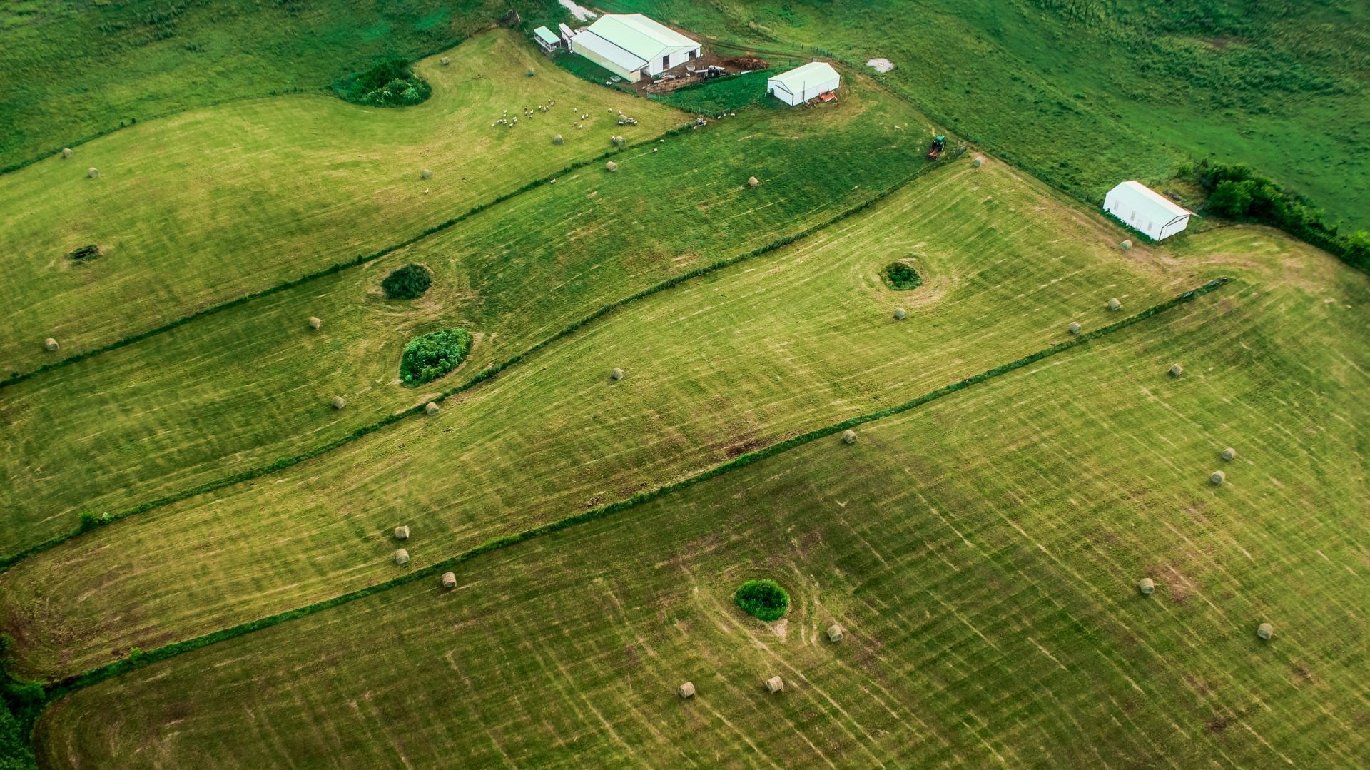 bowling-green-unsplash