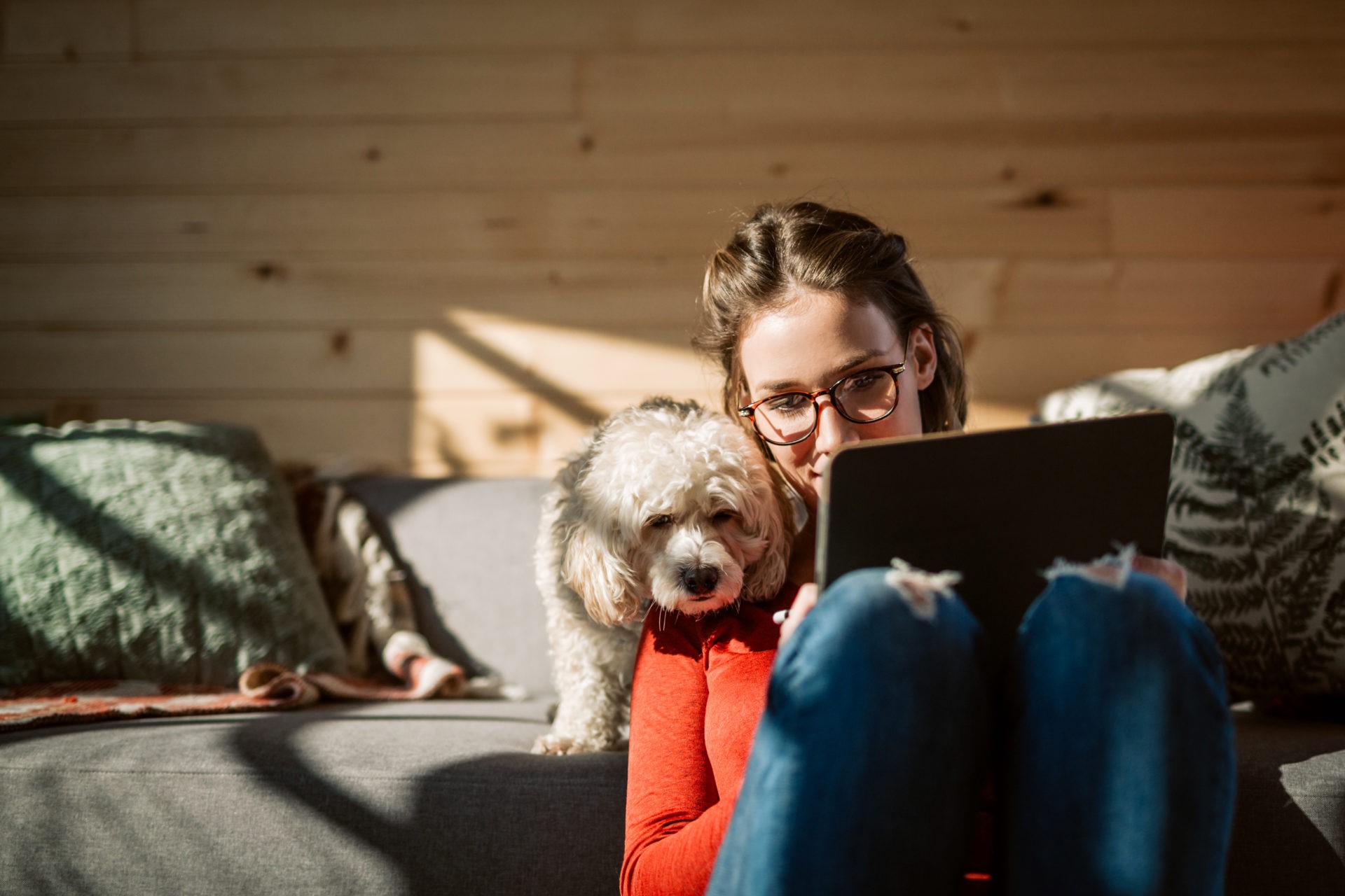 Artist Drawing At Home In Company Of Her Poodle Dog