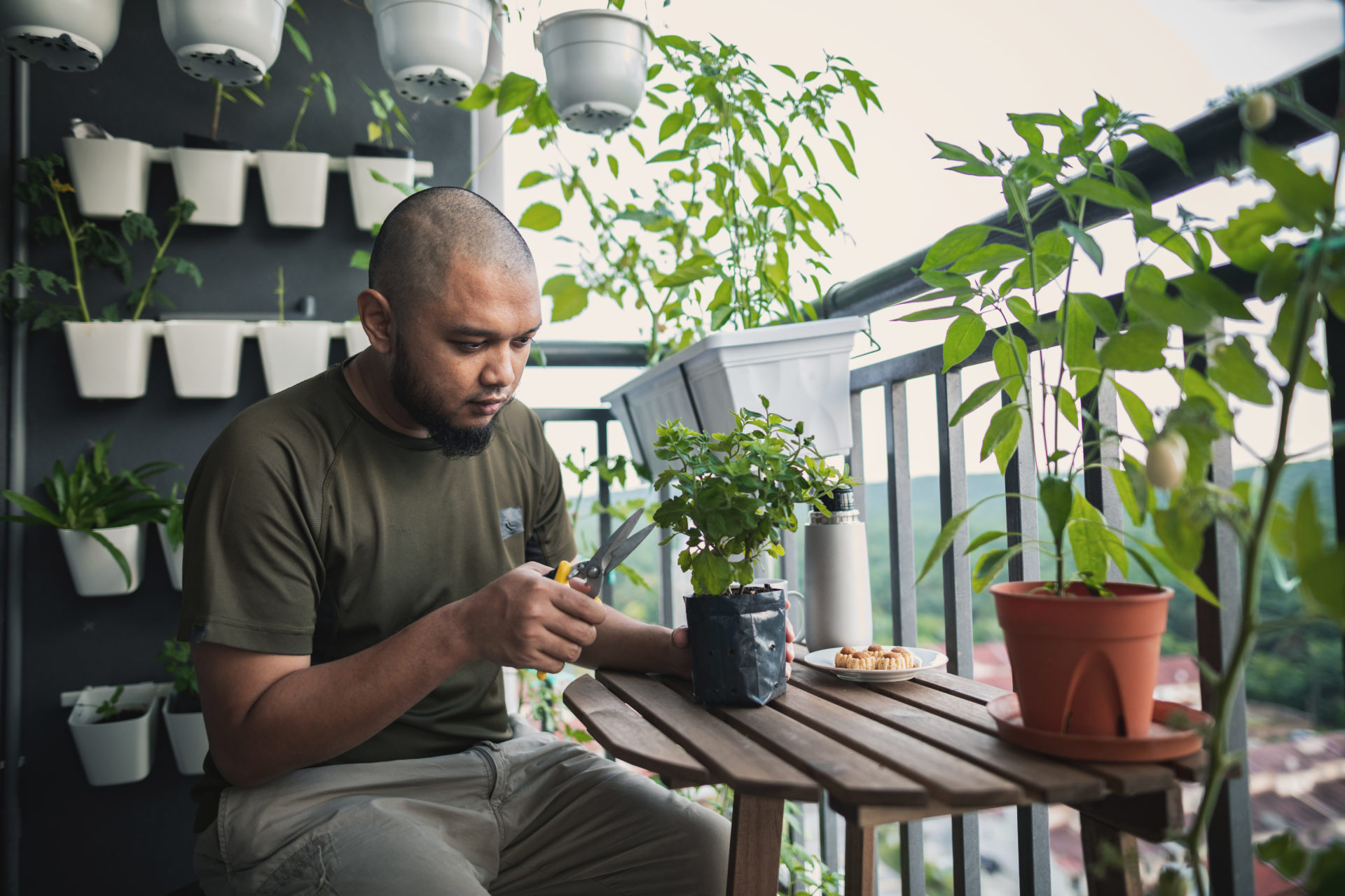 Home gardening at balcony