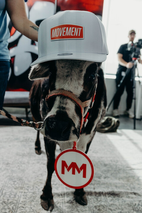 A Cow wearing a Movement Mortgage Hat